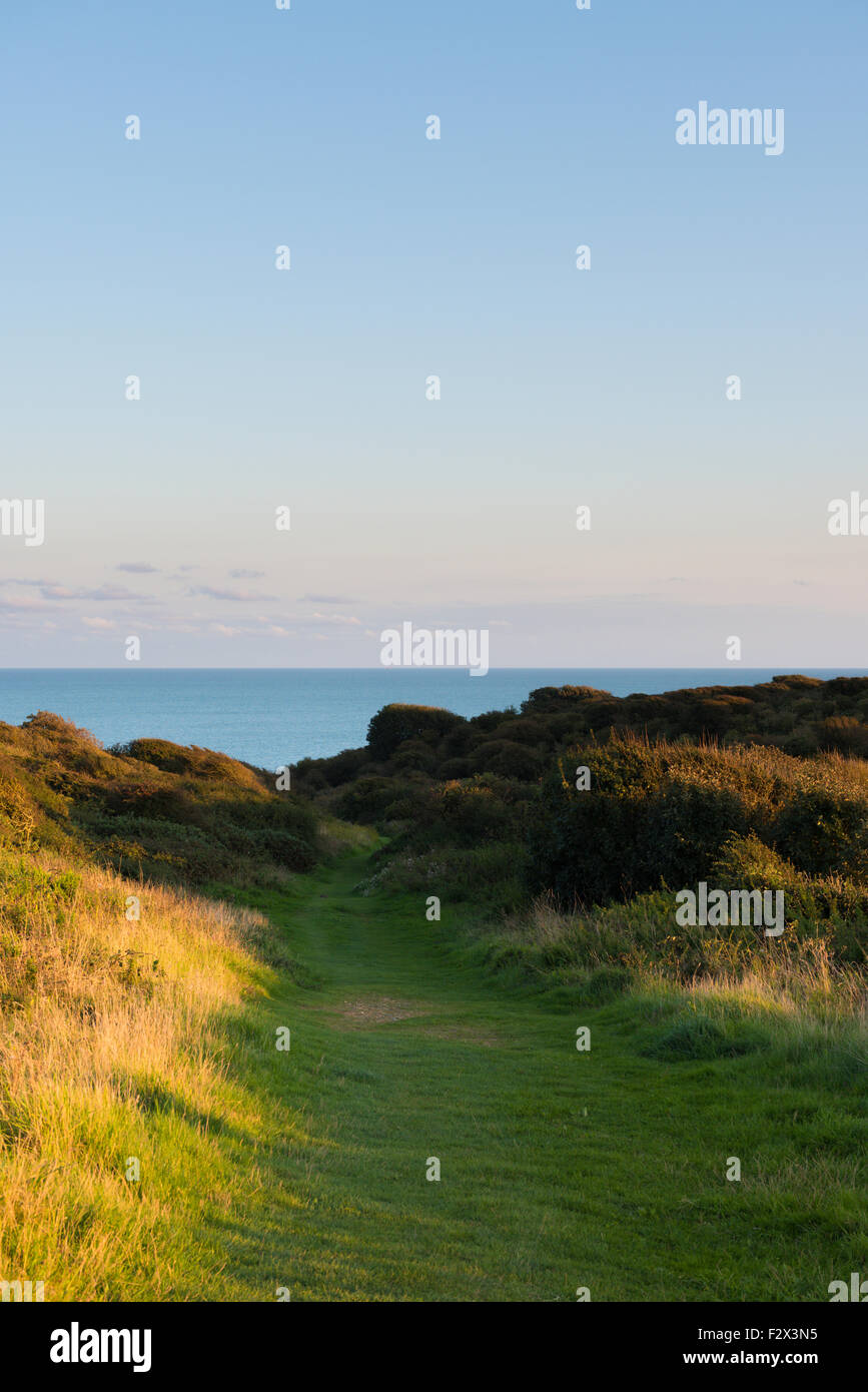 South Downs National Park in Southern England, UK Stock Photo Alamy