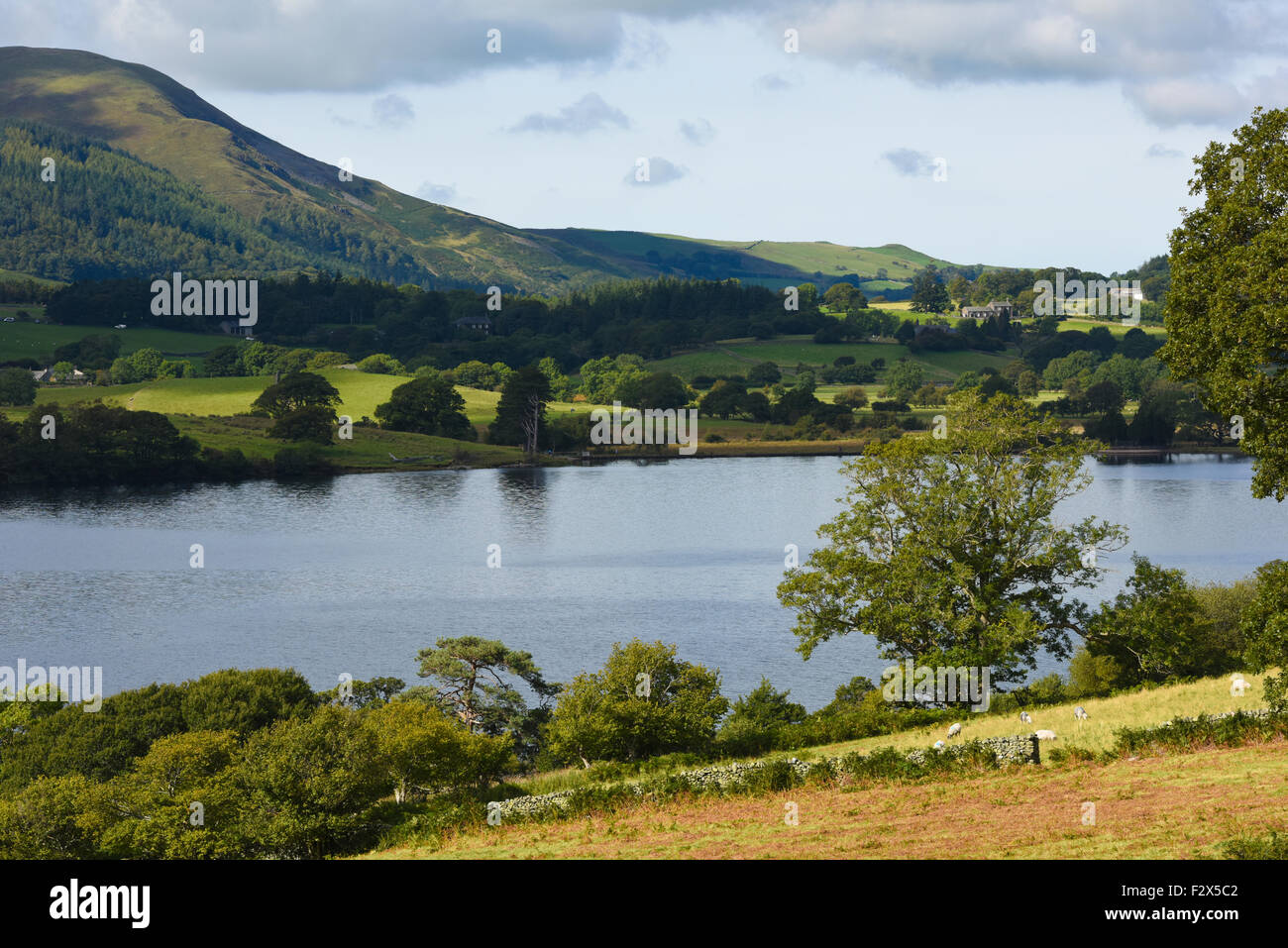 Allerdale cumbria hi-res stock photography and images - Alamy