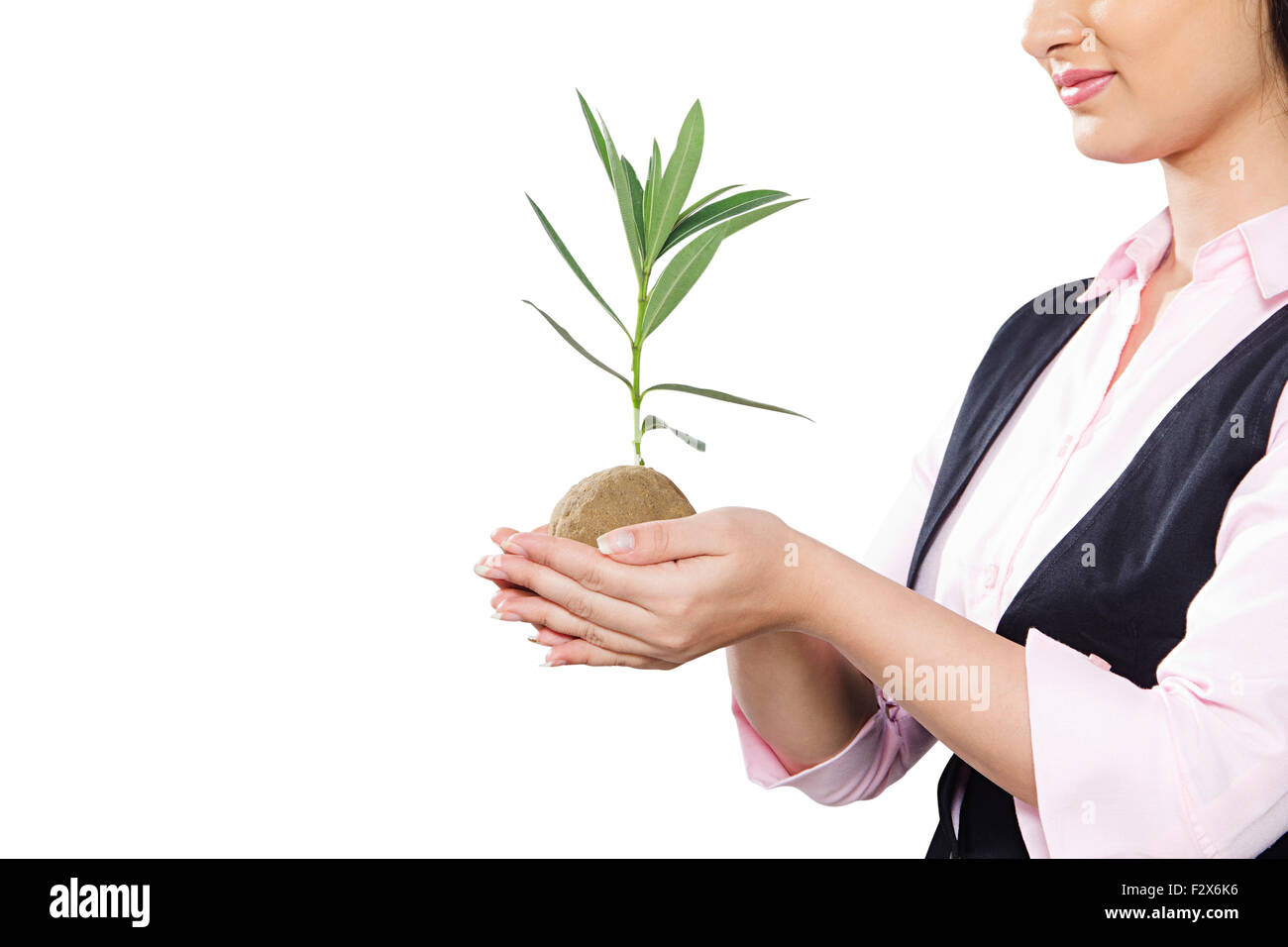 1 indian Business Woman Safety Plant-life Stock Photo