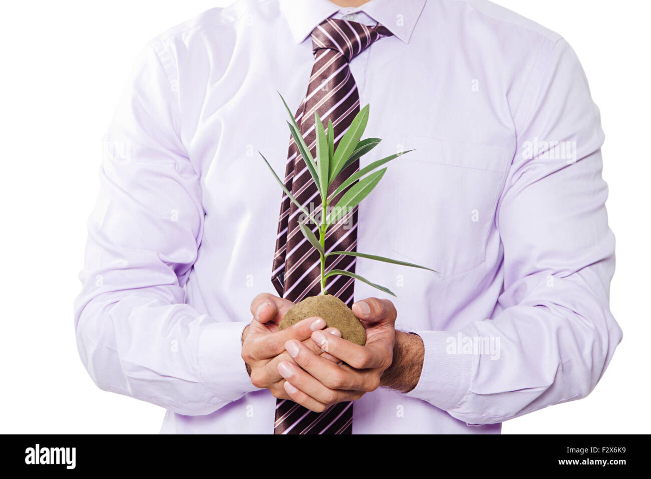 1 indian Business man Safety Plant-life Stock Photo