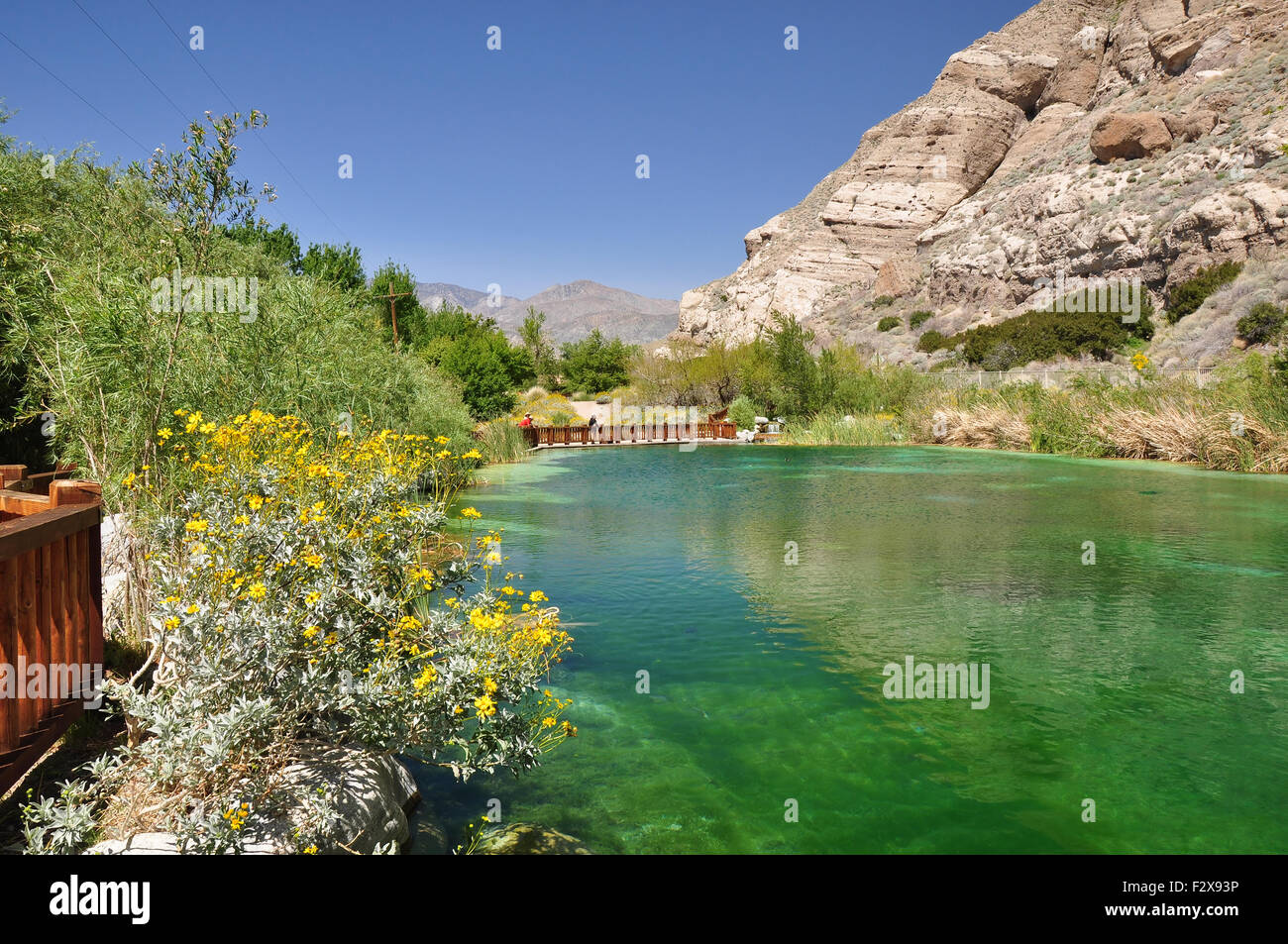 View of a large pond in Whitewater Canyon near the desert town of Palm Springs, California. Stock Photo