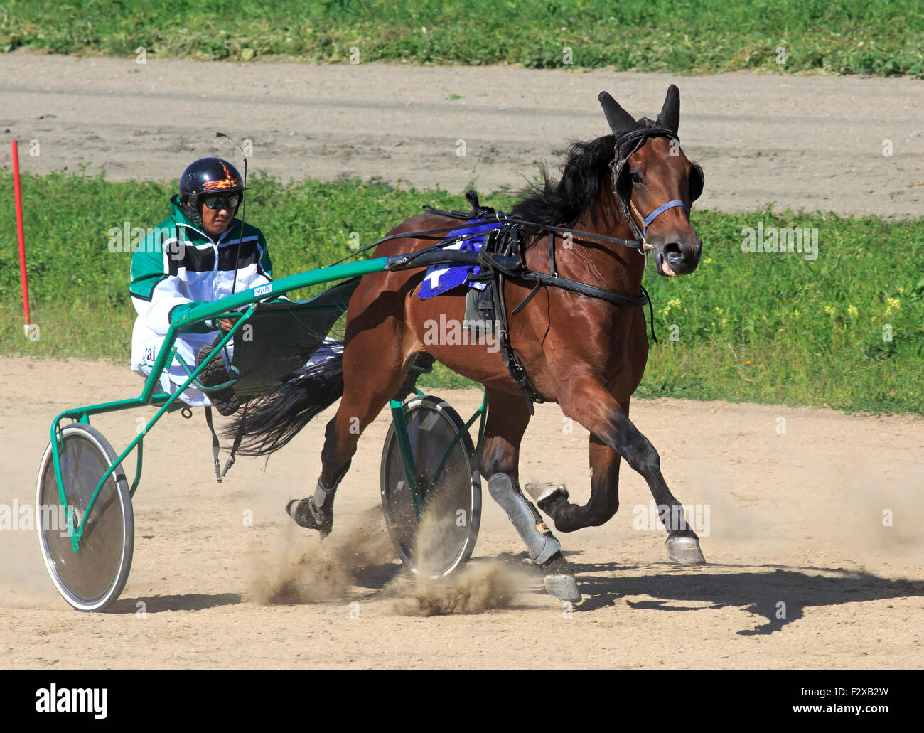 Sulky racing hi-res stock photography and images - Alamy