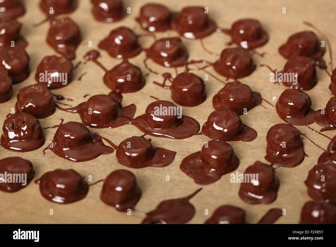 Making Praline (Chocolate Candy with Nut Filling Stock Photo Alamy