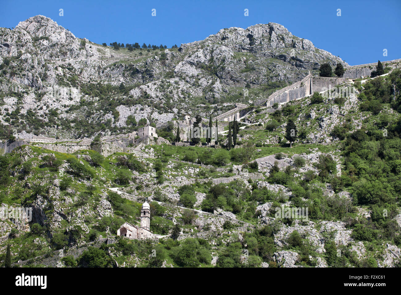 Ruins of the fortress over Kotor Stock Photo Alamy