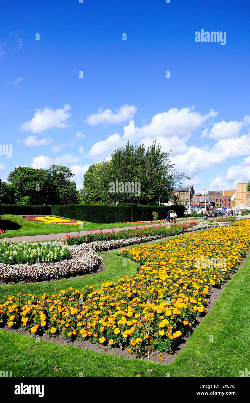 Flower beds, Central Park, Dartford, Kent, England, United Kingdom Stock Photo