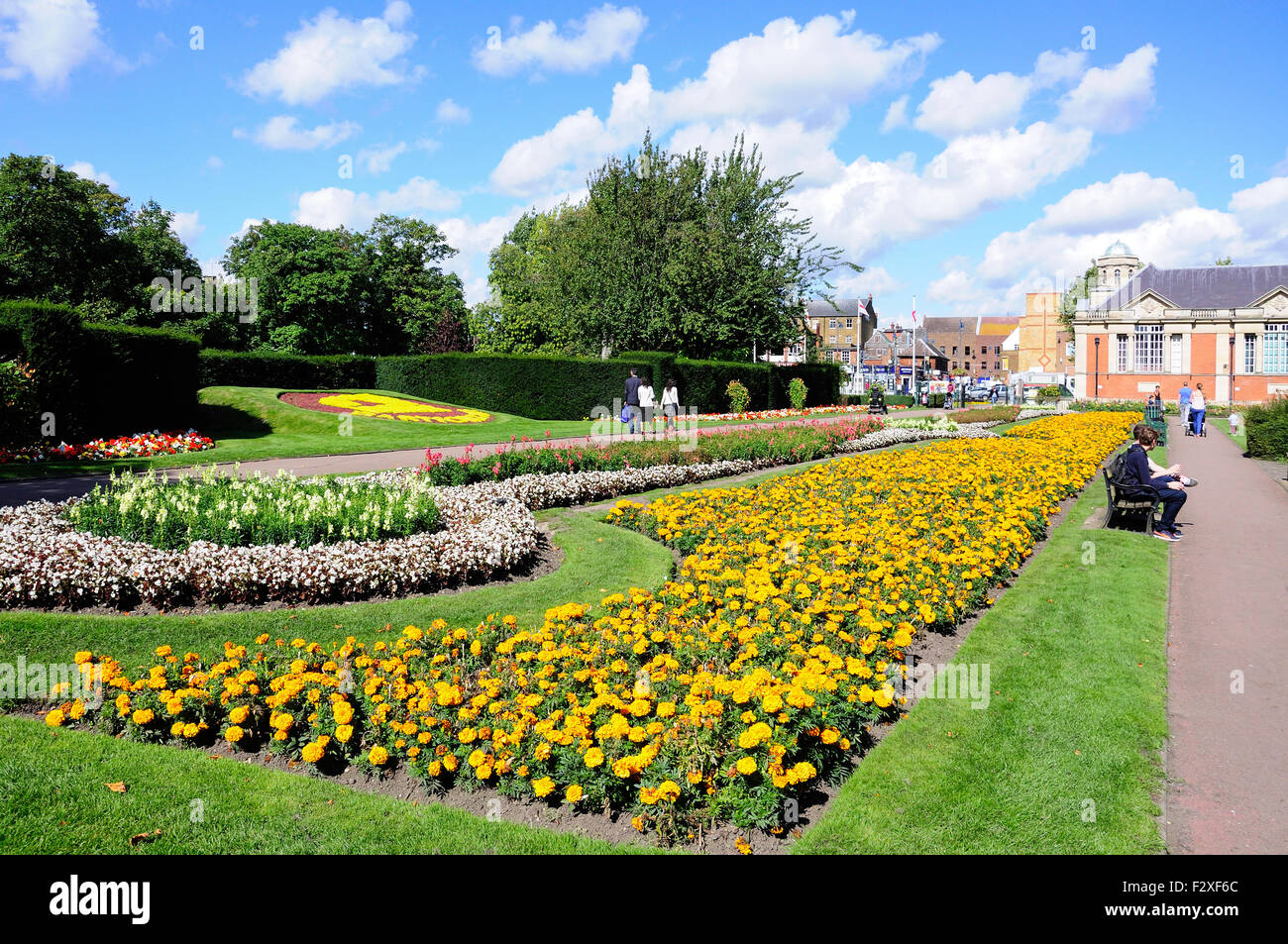 Flower beds, Central Park, Dartford, Kent, England, United Kingdom Stock Photo