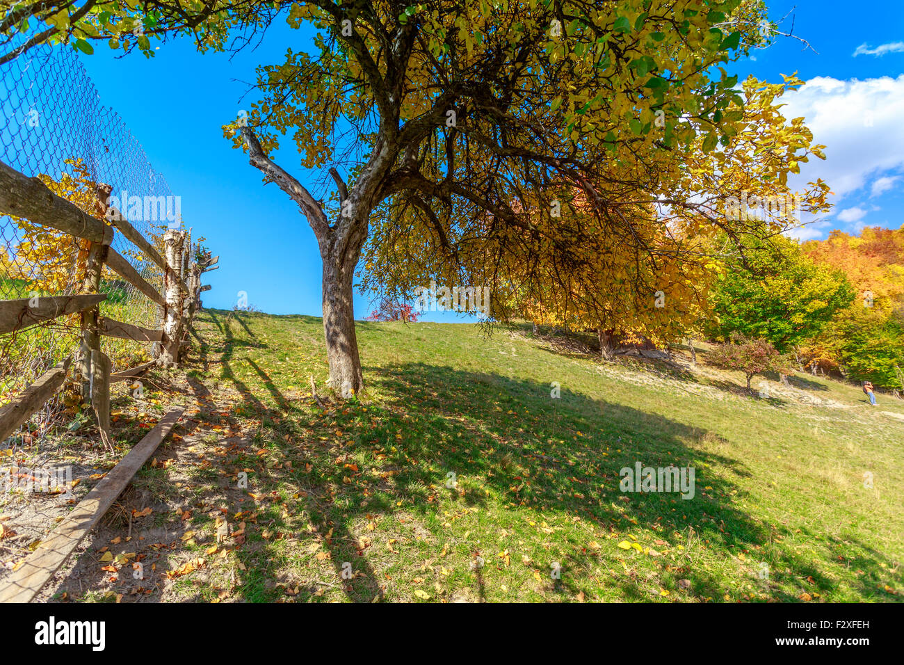 Colorful autumn landscape scene with fence in Transylvania mountain ...