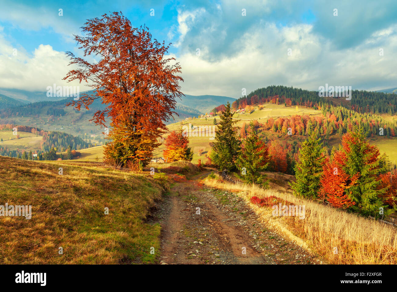 Morning in Carpathians mountain Transylvania,Romania Stock Photo - Alamy