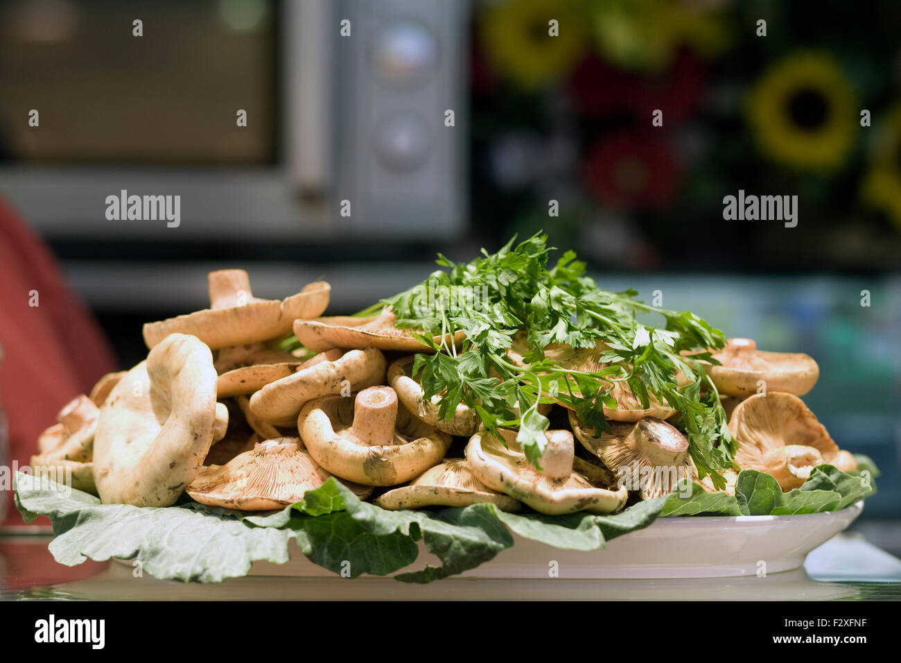 Meal of mushrooms and parsley on a plate Stock Photo