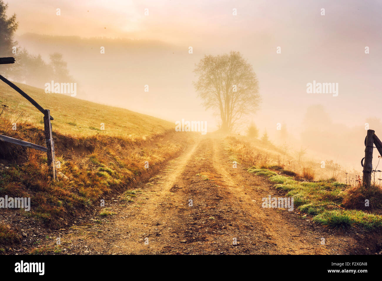 Sunrise morning in Carpathians mountain in Transylvania,Romania. Retro ...