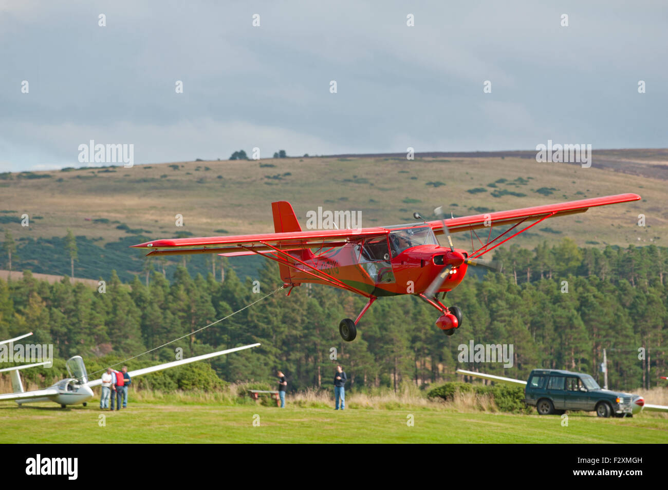 Eurofox hi-res stock photography and images - Alamy