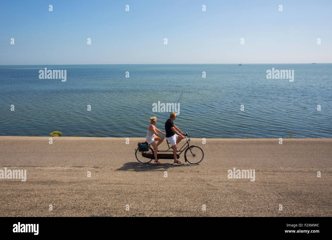 tourists on a tandem bake in Holland Stock Photo