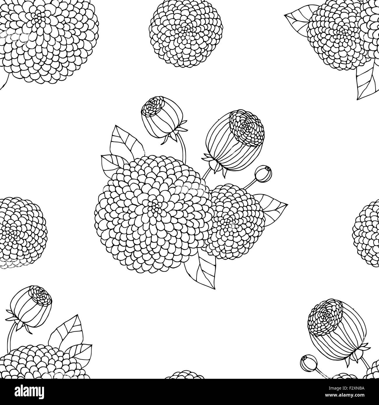 Seamless texture with asters Stock Vector Image & Art - Alamy