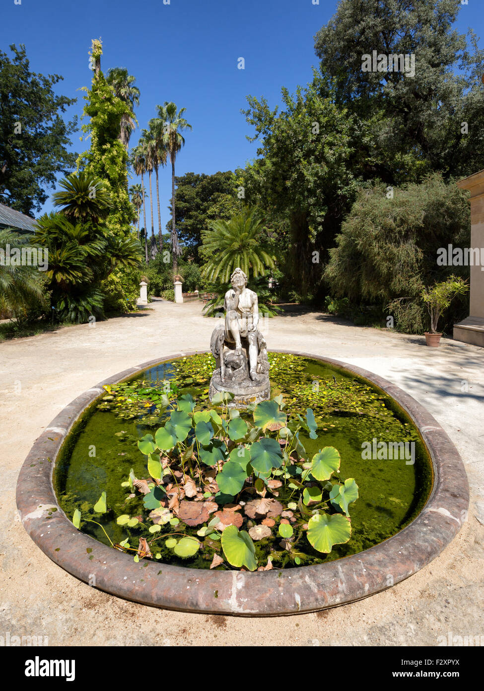Palermo (Italy) Botanical Garden Stock Photo Alamy