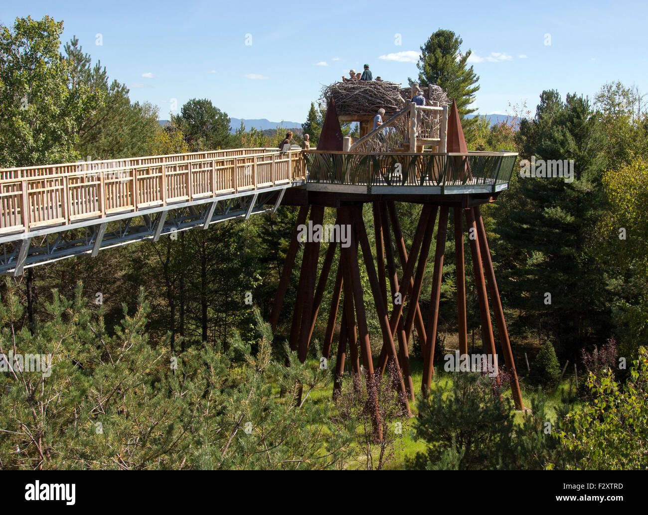 Wild Walk at the Wild Center in Tupper Lake New York USA America Stock Photo 87871377 Alamy