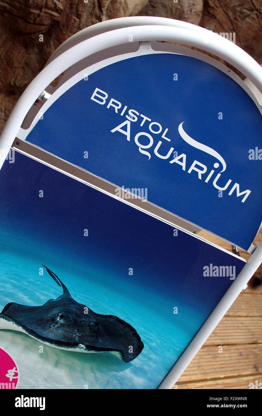 Bristol aquarium england uk hires stock photography and images Alamy