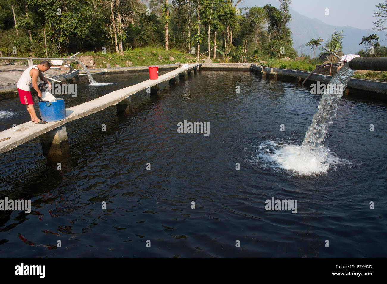 fish farm in Northern Vietnam Stock Photo