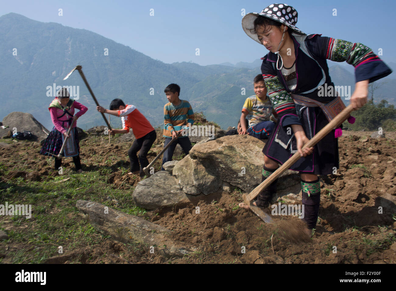 A family is cultivating land in Northern Vietnam Stock Photo
