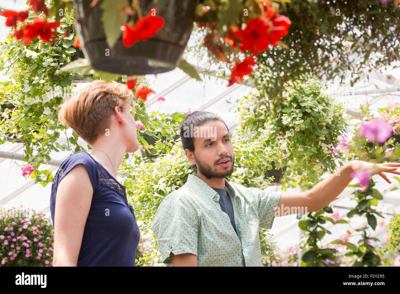 A man and woman looking at colourful flowering plants in a garden ...