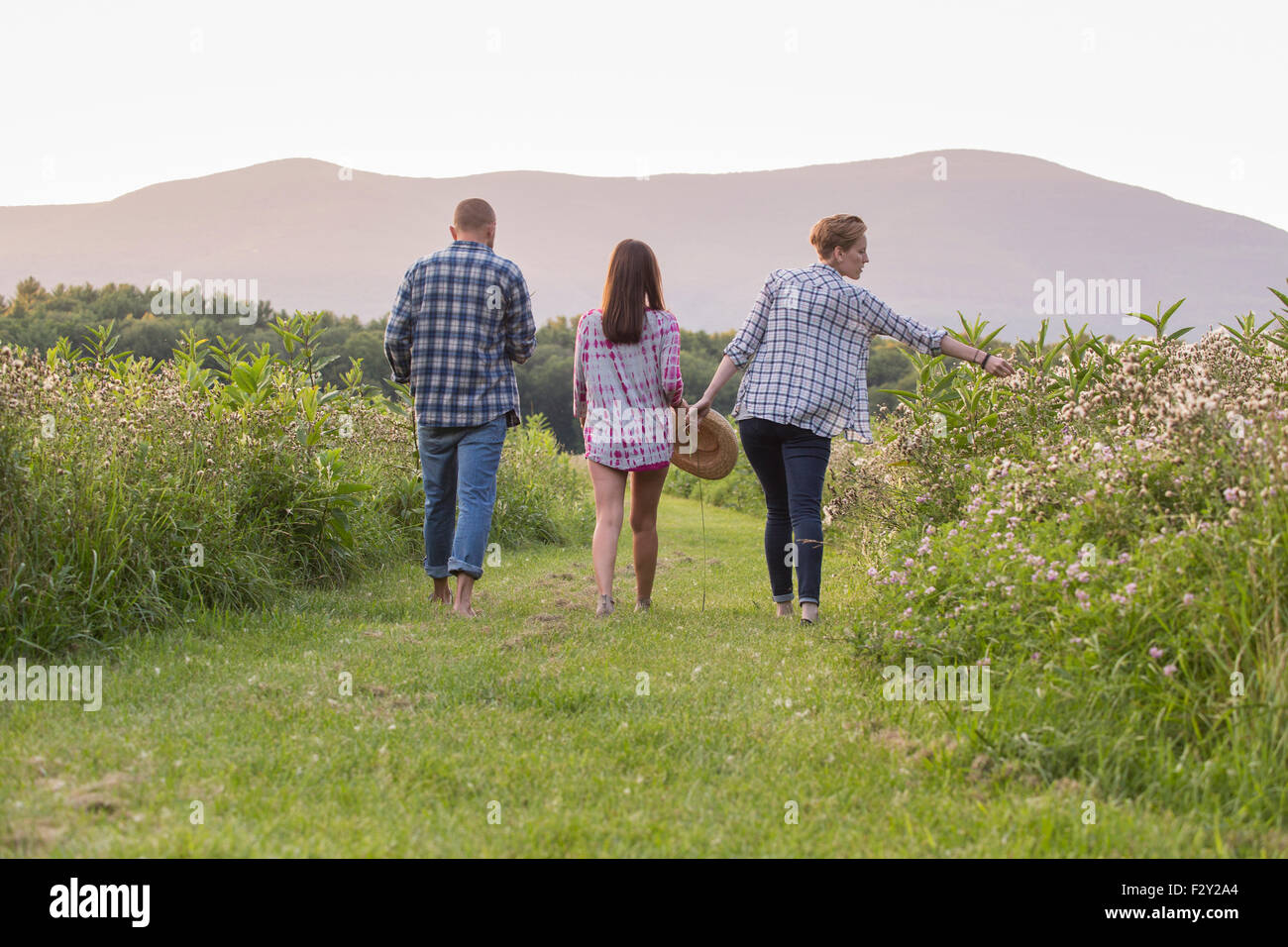 Rear view of two women and a man walking along a mown path in a meadow of wild flowers and grass. Stock Photo