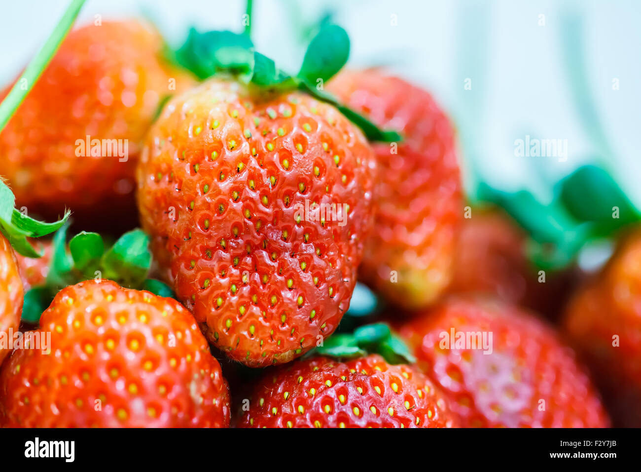Strawberry berries on a white background Stock Photo - Alamy