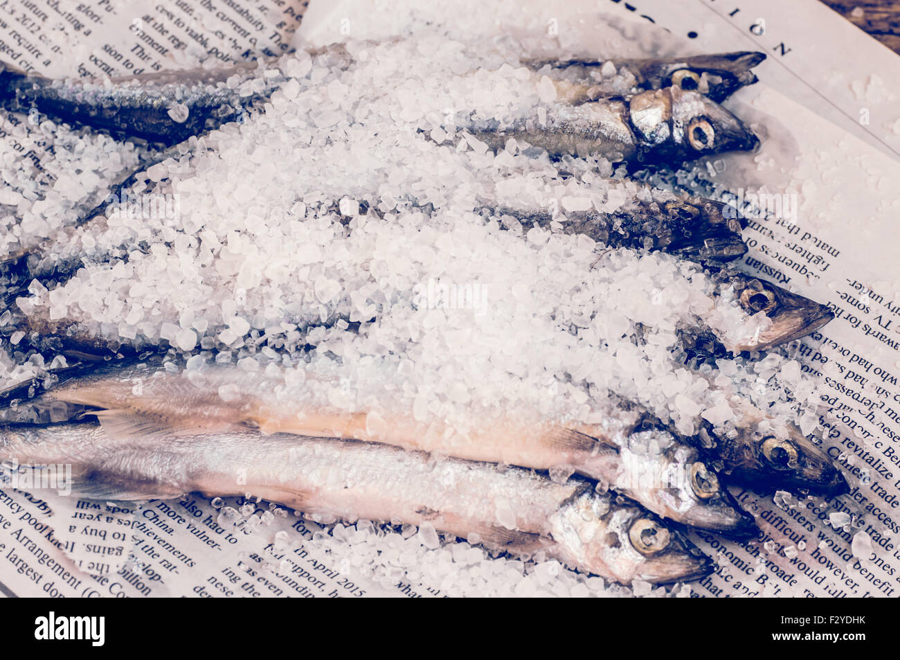 Sardines sprinkled salt on the newspaper Stock Photo