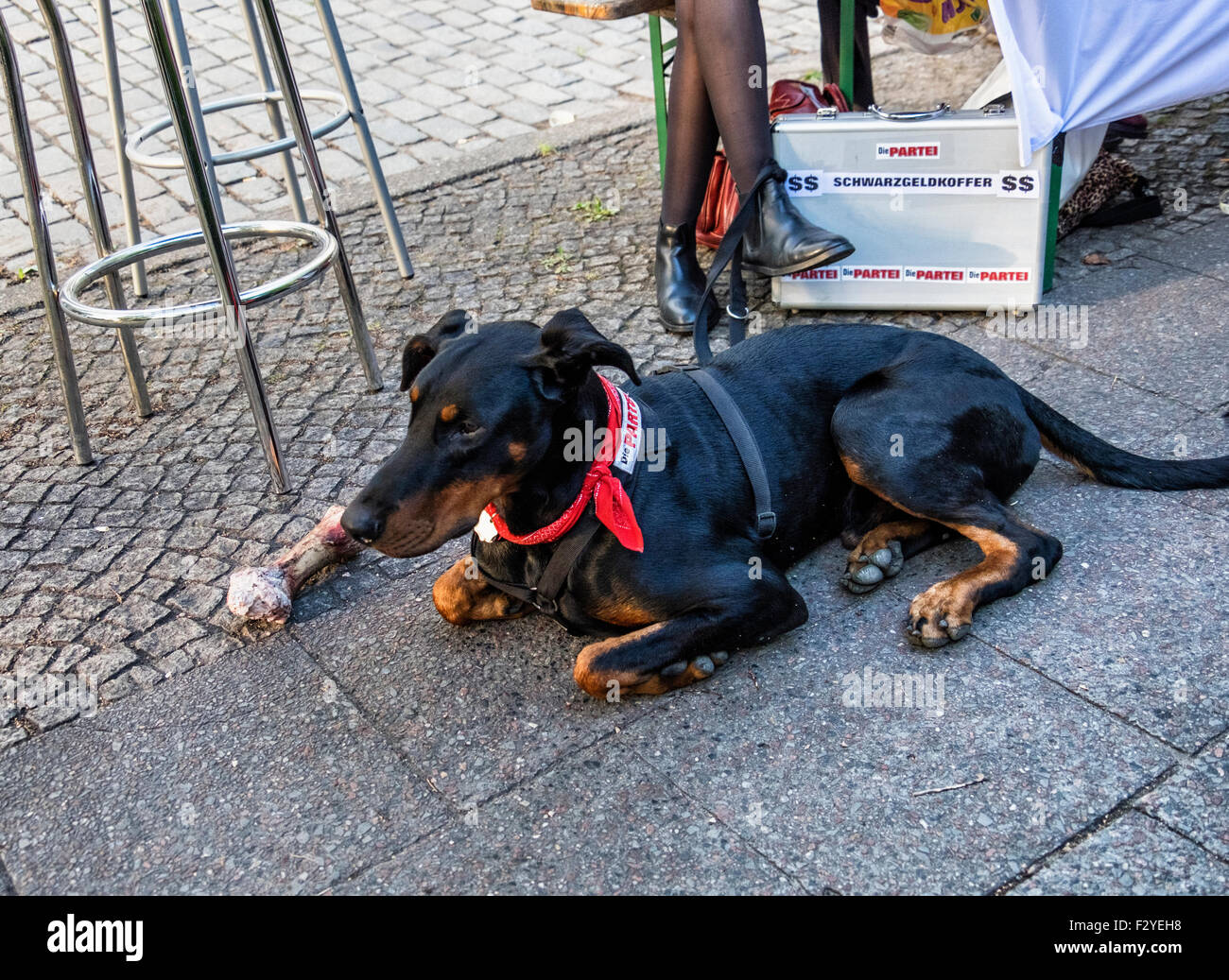 Berlin Veteranenstrasse Street Party - Veteran Street Fest Stock Photo