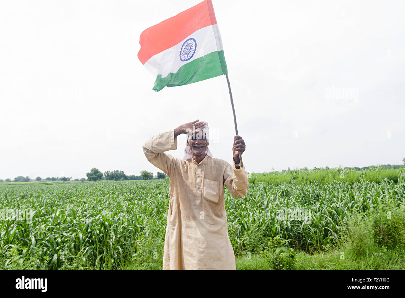 1 indian rural Senior farmer farm standing Flag Salute Independence Day