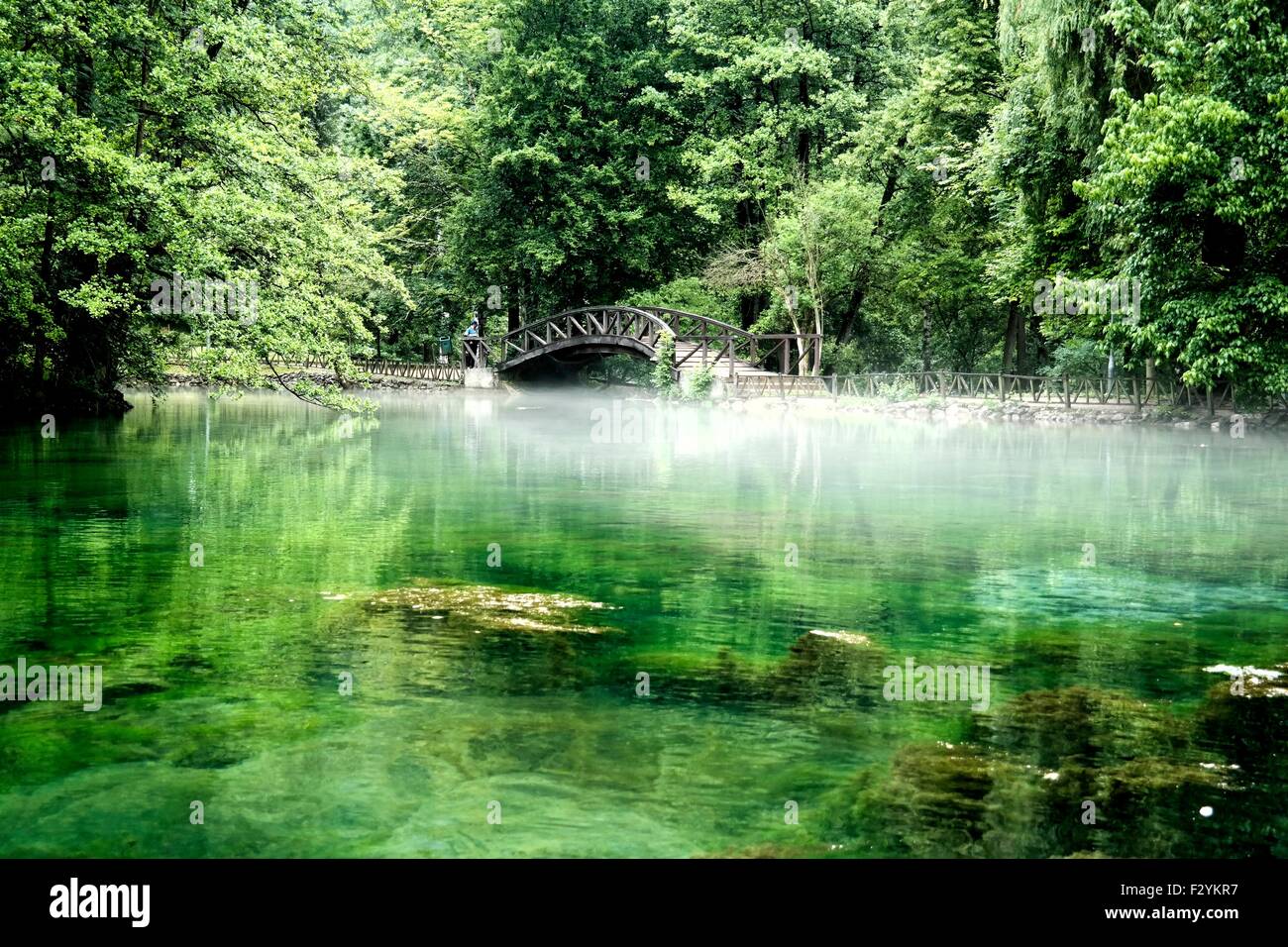 Spring of river Bosna in Ilidža below Mt. Igman. Stock Photo