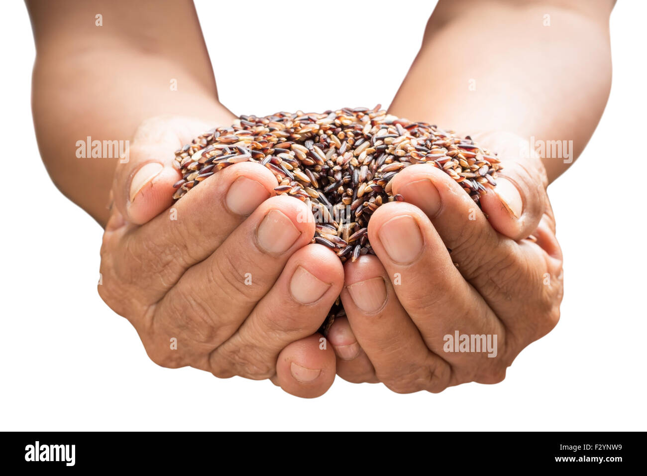 raw rice in hands holding isolated on white background Stock Photo Alamy