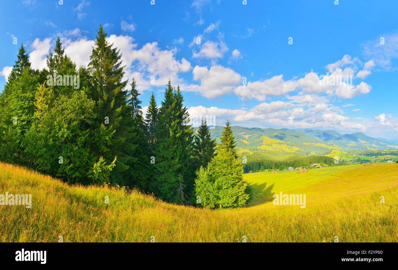 Summer mountains in sunny weather Stock Photo - Alamy