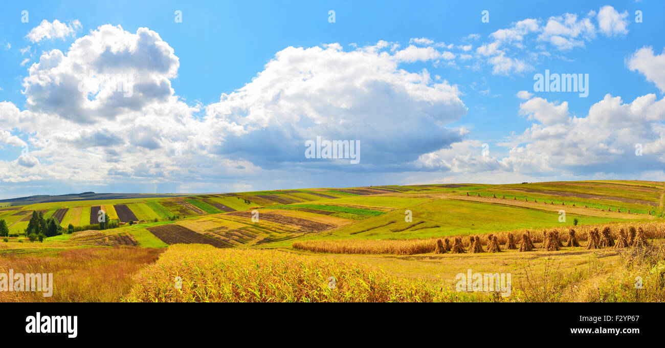Autumn fields in cloudy weather. Stock Photo