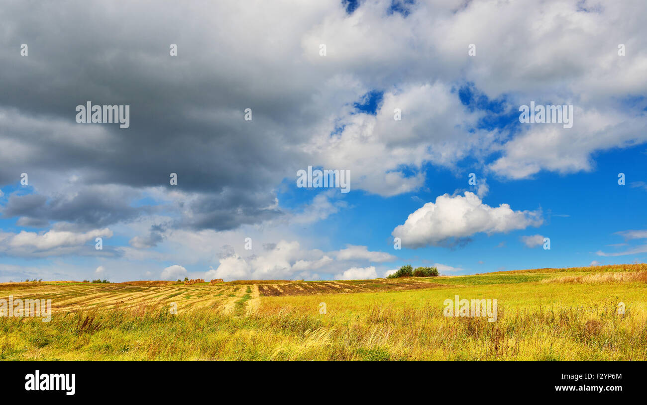 Autumn fields in cloudy weather. Stock Photo