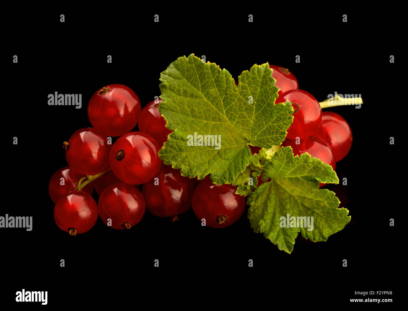 Red currant berry with leaf isolated on black background Stock Photo ...