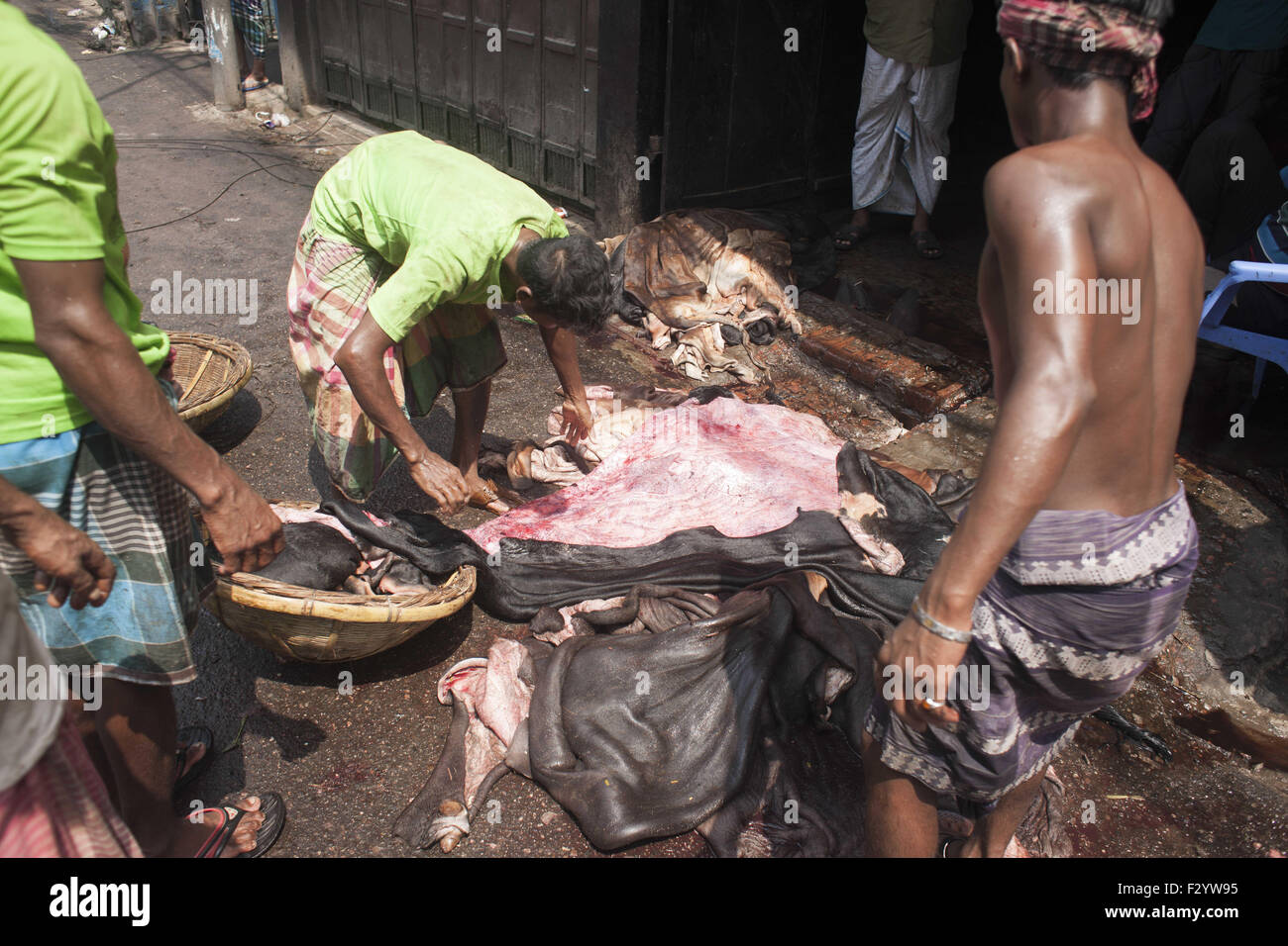 Bakri Eid Stock Photos & Bakri Eid Stock Images - Alamy