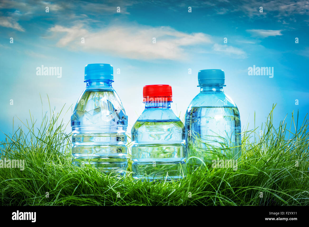 Bottle of water on the green grass Stock Photo - Alamy