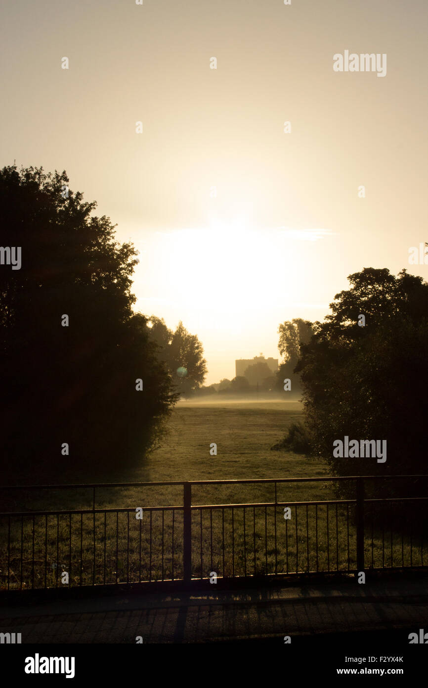 Early morning Sunrise over a field with trees. The sun is casting a ...