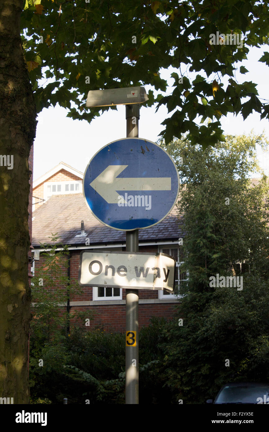 One way sign. White arrow with blue circle on a post with a light on top. Halfway down is a sign with One Way on it. Stock Photo