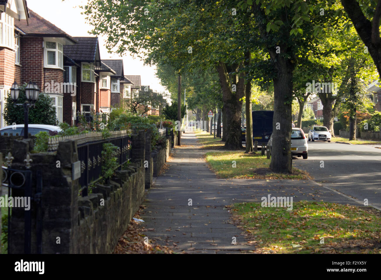 Looking down a pavement with grass as it stretches off in the distance. Trees and houses on each side. Stock Photo