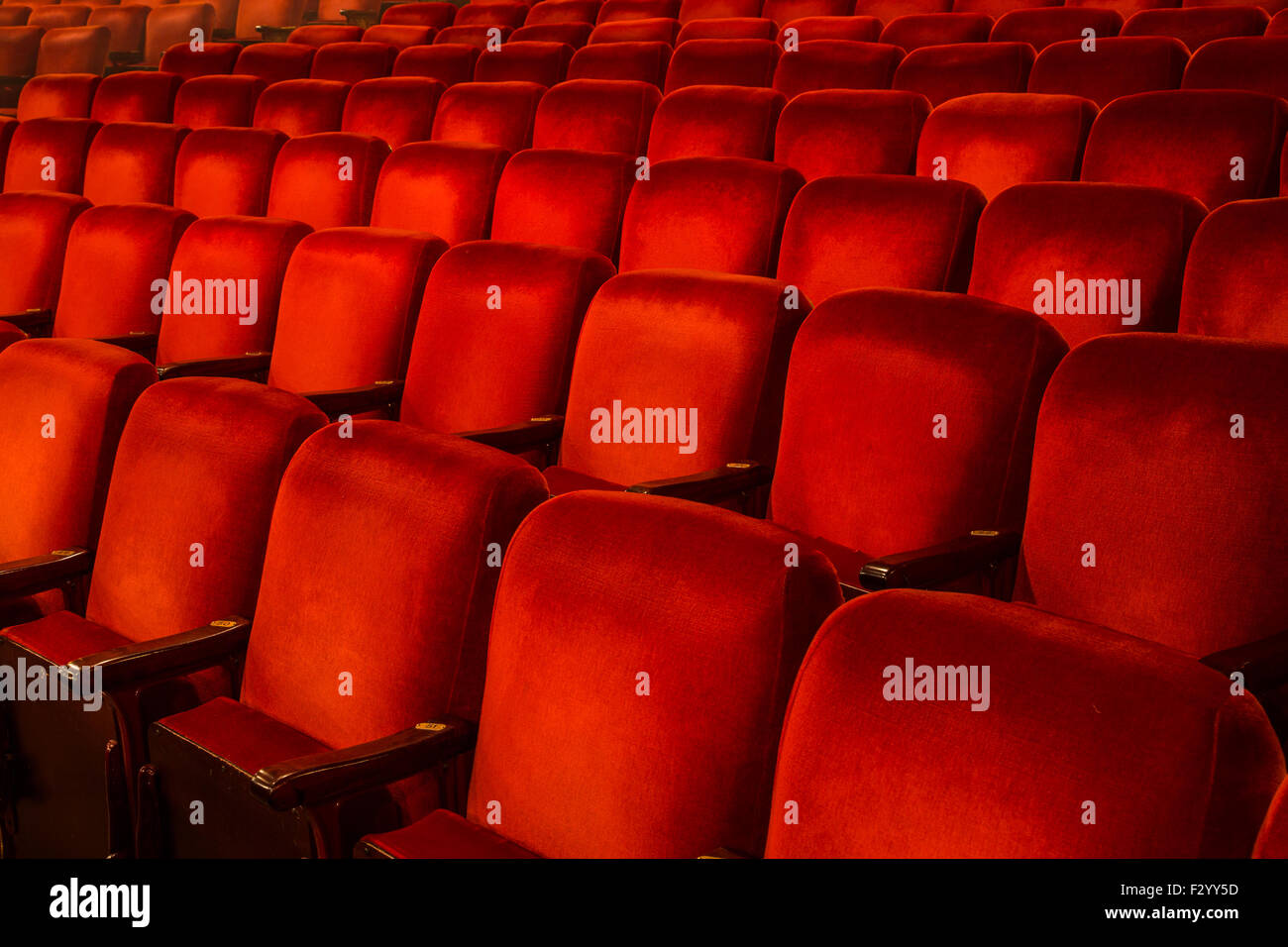 Rows of Red Chairs inside a theatre with copy space Stock Photo