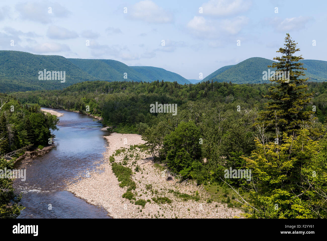 Streams and hills in Cape Breton, Nova Scotia during the summer. Lots of trees can be seen and there is space for text Stock Photo