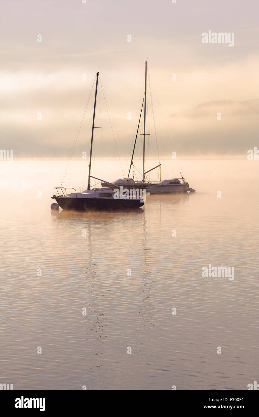 Sail boats in the morning mist on Windermere. Stock Photo