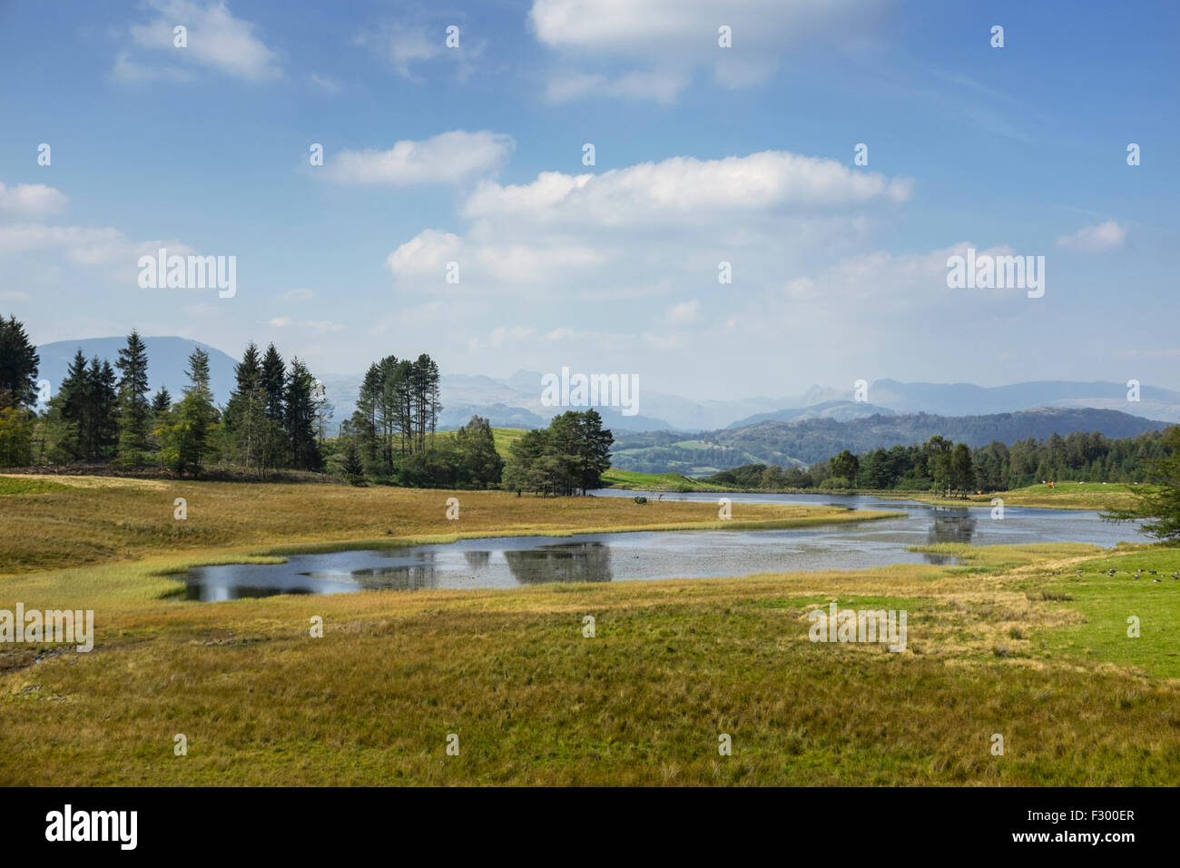 Wise Een Tarn and the Langdale Pikes. Stock Photo