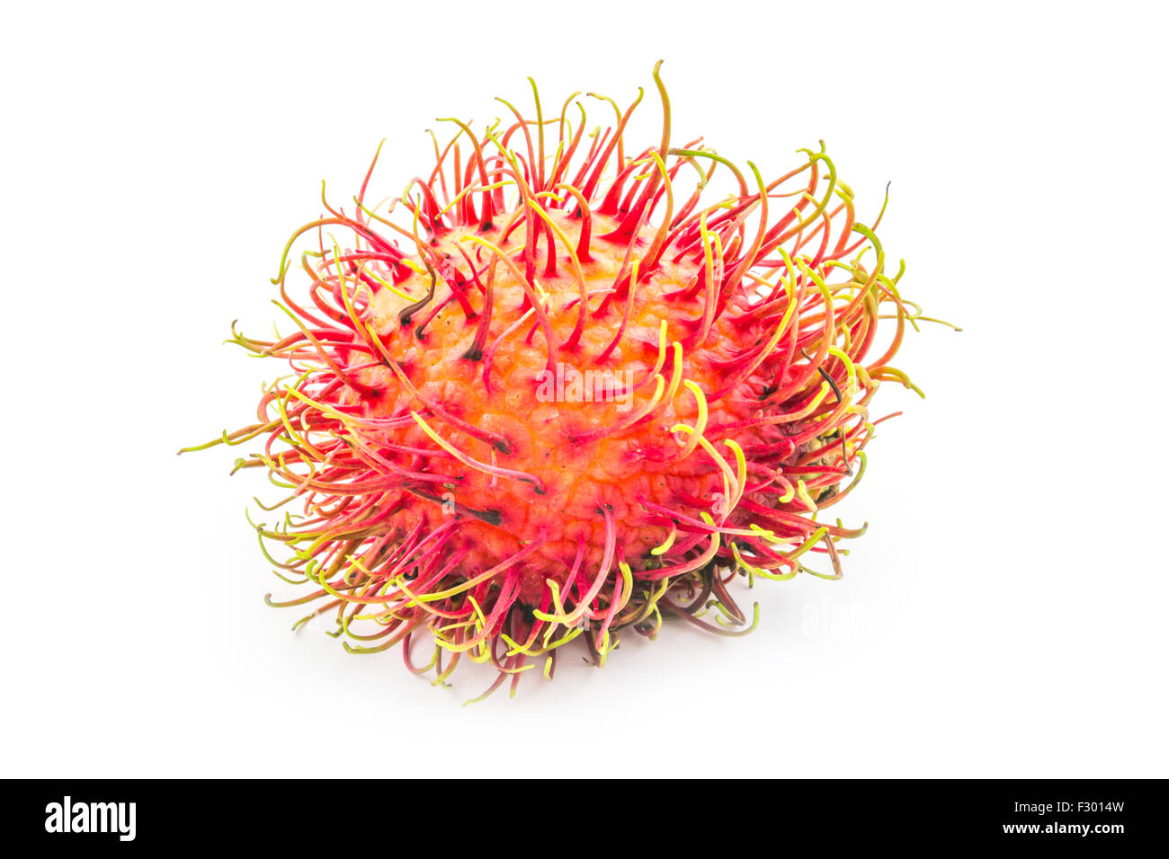 Rambutan tropical fruit on white background Stock Photo - Alamy