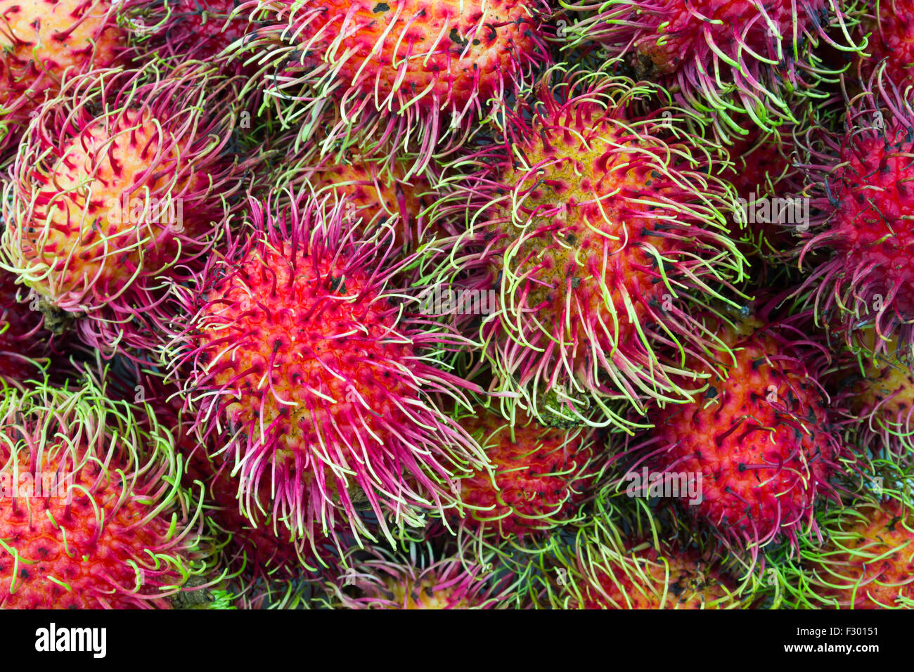 Rambutan tropical fruit on white background Stock Photo - Alamy