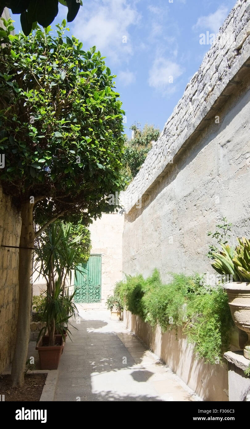 Green vegetation and small alley inside old city walls on a sunny day in Mdina, Malta. Stock Photo