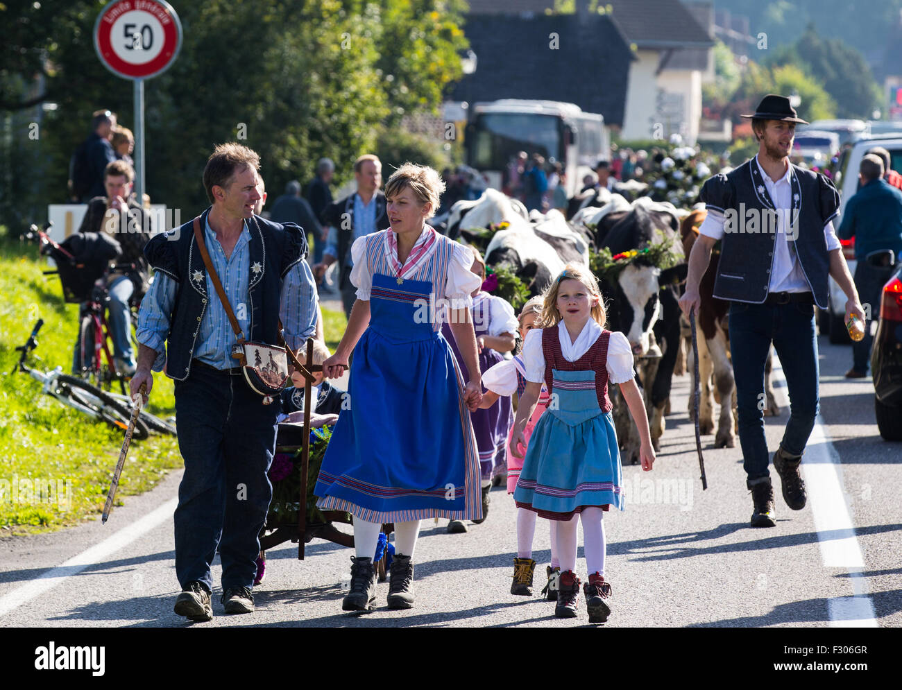 Geneva, Switzerland. 26th Sep, 2015. Local herdsmen in traditional dress drive their cows down the mountains during the Desalpe festival in Charmey, Switzerland, Sept. 26, 2015. The Desalpe is a traditional annual procession when cows make their way down to the plain at the beginning of the Autumn after more than four months of grazing on the Alpine pastures during the Summer. © Xu Jinquan/Xinhua/Alamy Live News Stock Photo