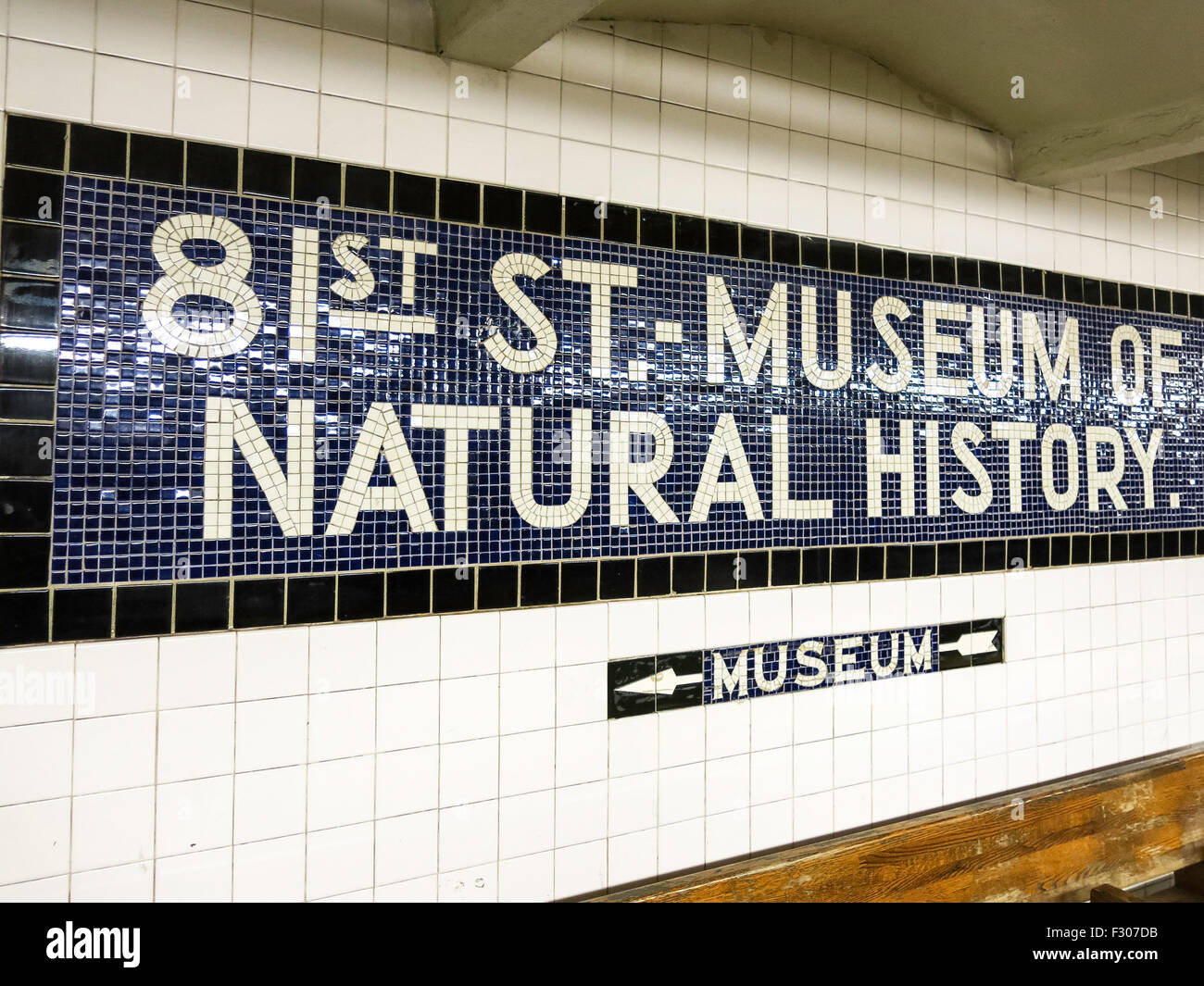 81st museum of natural history