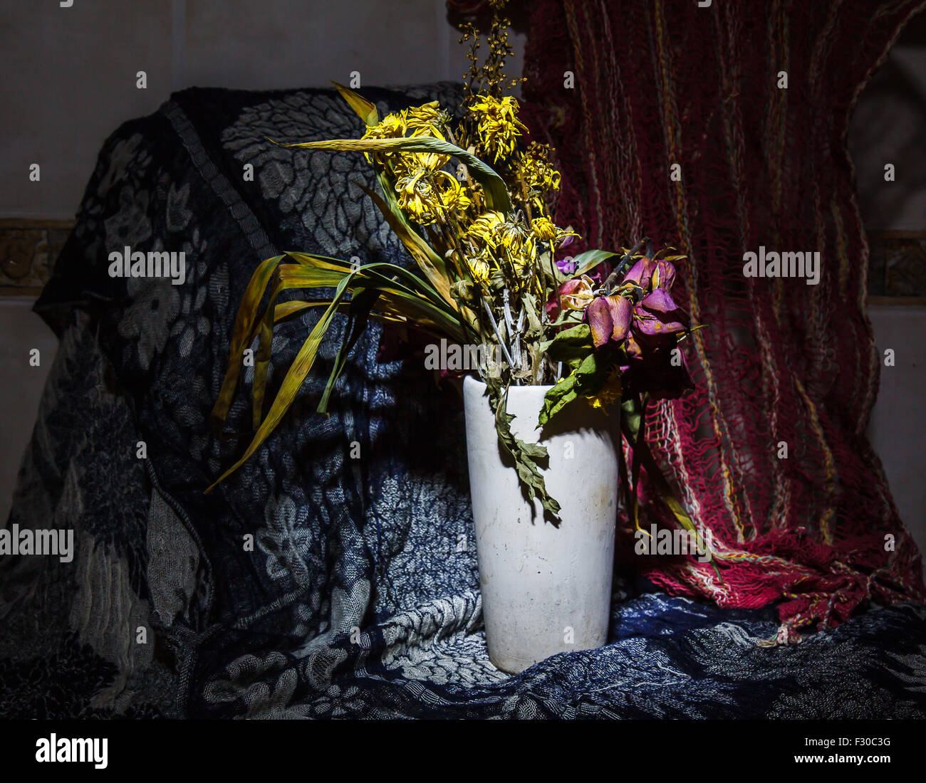 Dry flowers still life Stock Photo Alamy