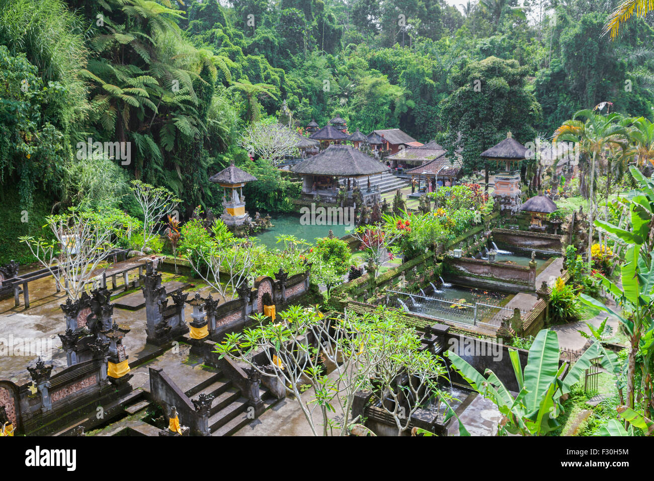 The holy springs at Pura Gunung Kawi Sebatu temple, Bali